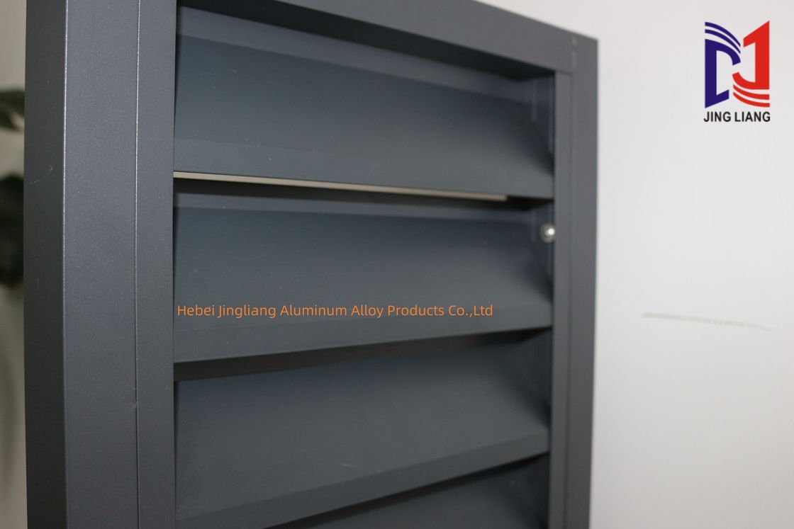 Op maat gemaakte poedercoating of PVDF of geanodiseerde oxidatie voor decoratie